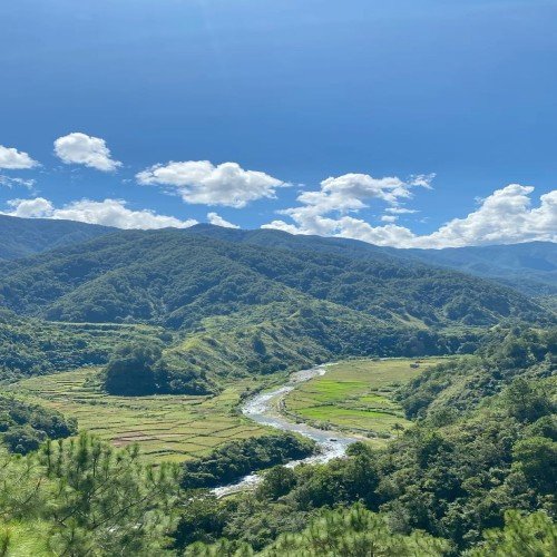 blog image