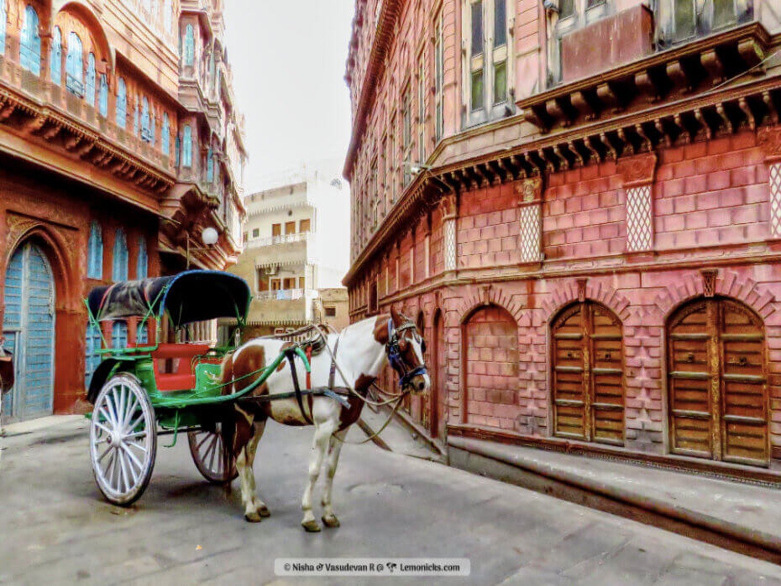 tour image