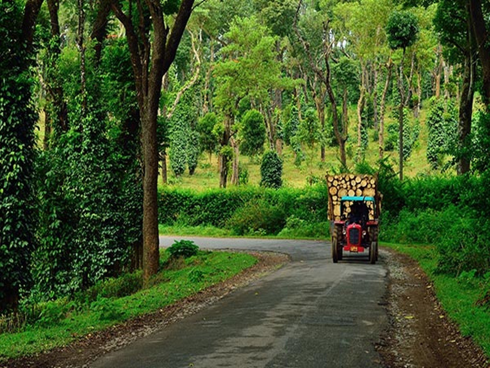 tour image