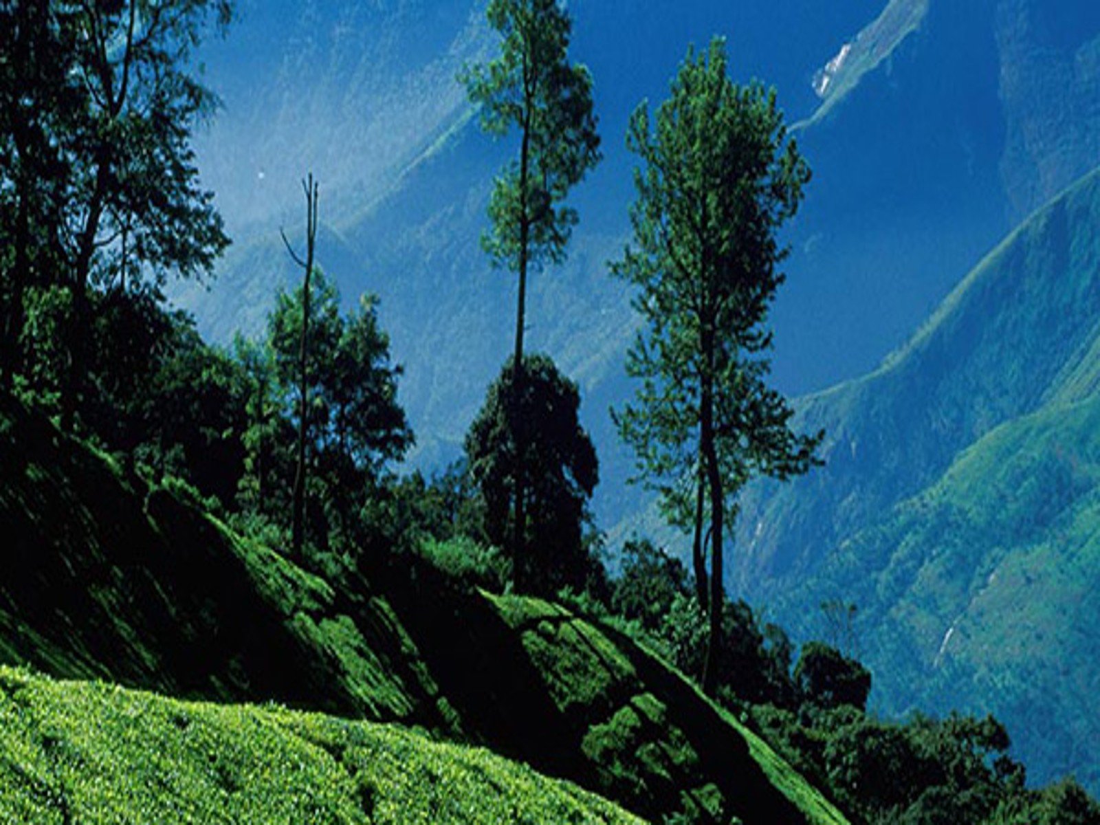 tour image